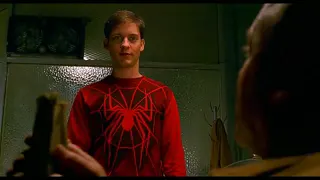 Spider-Man — That's My Problem at 00:12 — WRESTLING PROMOTER