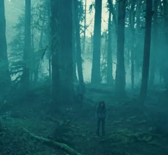 Twilight — I Know What You Are at 00:05 — BELLA
