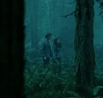 Twilight — I Know What You Are at 00:28 — BELLA